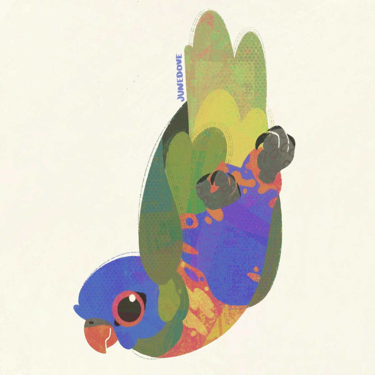 Rainbow Lorikeet