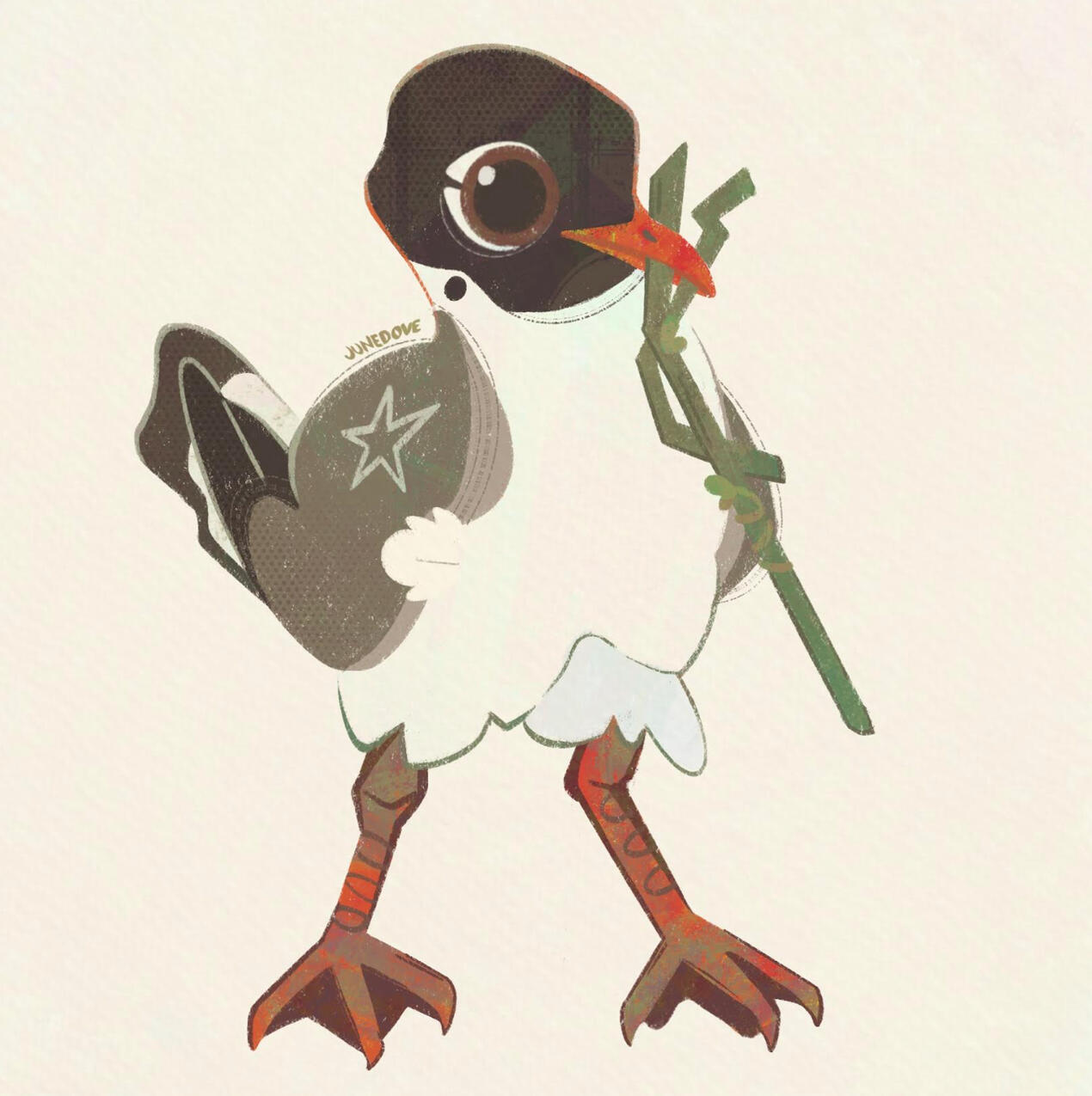 Black-Headed Gull
